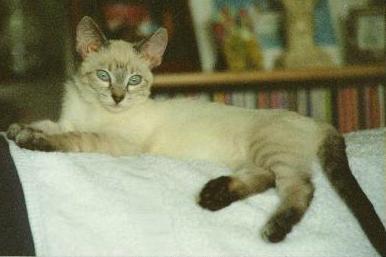 http://www.atomicfunk.com/Pictures/Slim_Shady/slim_12.jpg